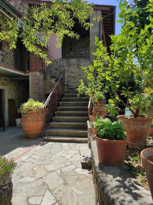דירות קסטיליון פיורנטינו Petreto Il Giardino Dei Limoni מראה חיצוני תמונה