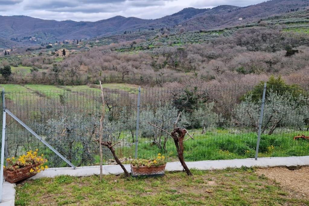דירות קסטיליון פיורנטינו Petreto Il Giardino Dei Limoni מראה חיצוני תמונה