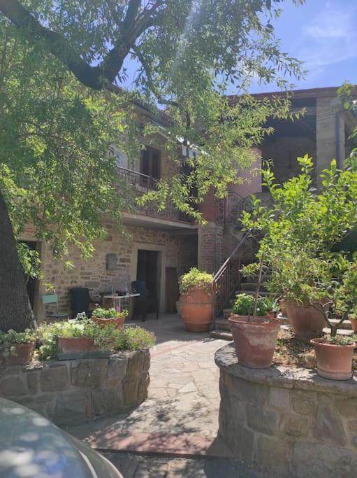 דירות קסטיליון פיורנטינו Petreto Il Giardino Dei Limoni מראה חיצוני תמונה